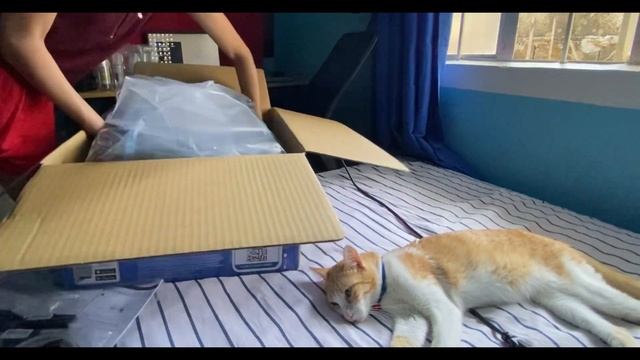 EPSON L3250 PRINTER UNBOXING смотреть онлайн