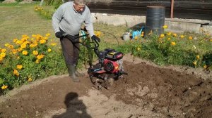 Мотоблок тарпан. Культиватор