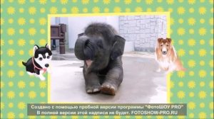 Улыбка (из м\ф Крошка Енот) - минус