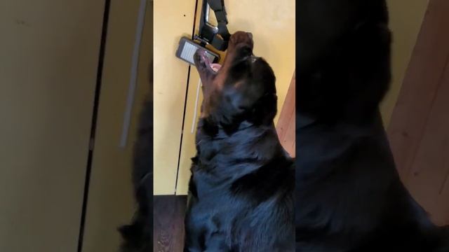 Косметический ремонт двери смотреть онлайн