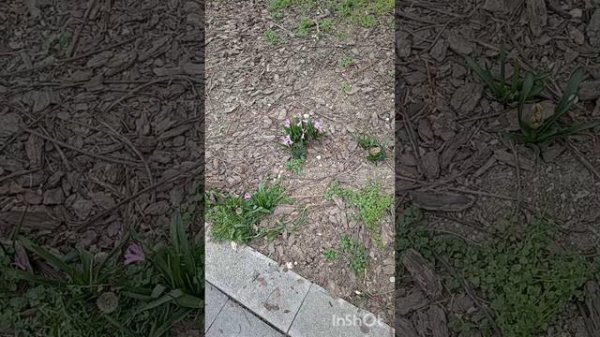 Севастополь.