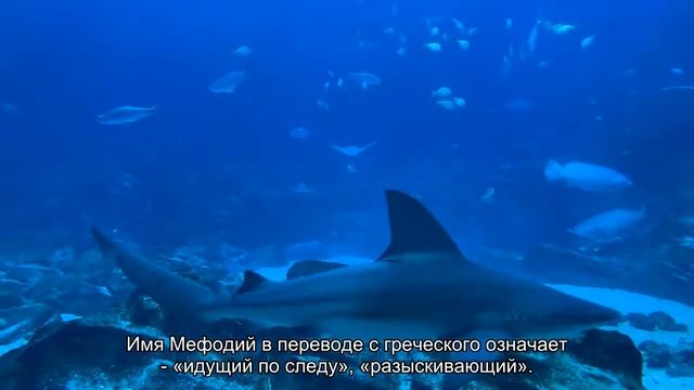 Значение имени Мефодий. Толкование, судьба, характер смотреть онлайн