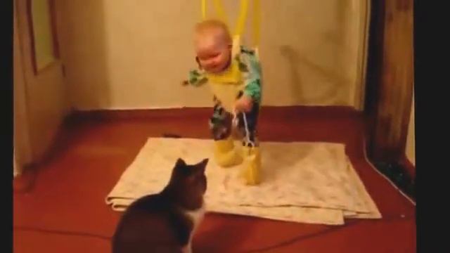 ТОП приколов - Дети и животные - FUNNY VIDEOS смотреть онлайн