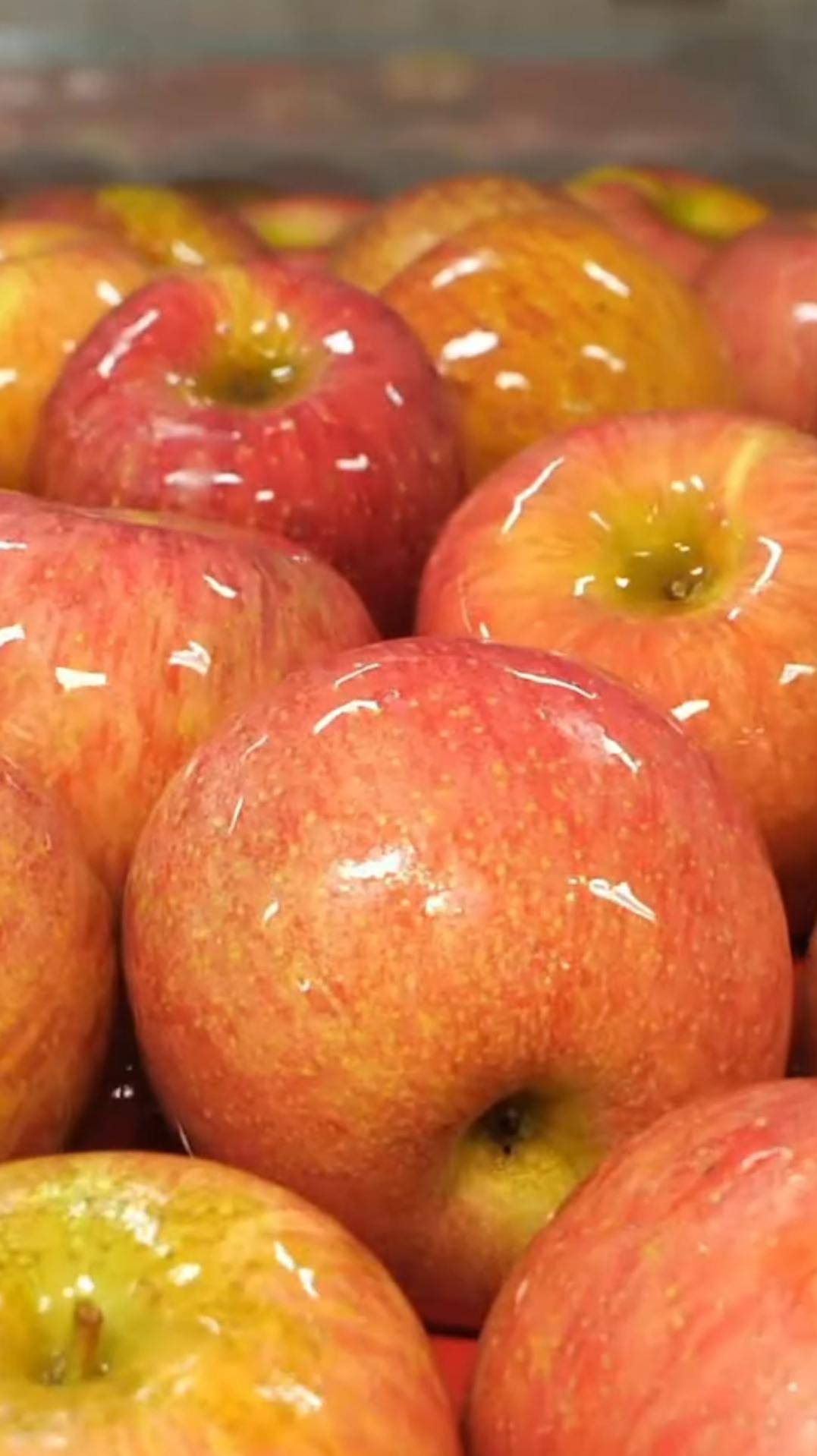 Порционные яблоки #shorts #яблоки смотреть онлайн