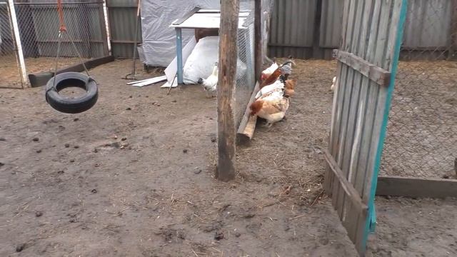 Мы его дождались \ Приехал жених в деревню смотреть онлайн