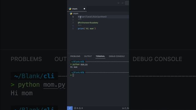 Convert Python Script To Executable In 3 Easy Steps смотреть онлайн