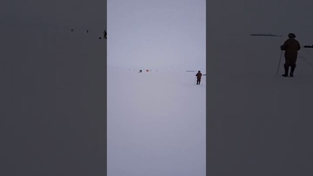 Рыбалка на Финском заливе. Иду за лещом??? смотреть онлайн