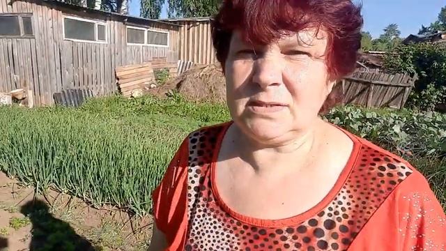 ПРОДОЛЖЕНИЕ #ЛУКОВОЙ #ТЕМЫ? ИЗБАВЛЯЕМСЯ ОТ #ЛУКОВОЙ И #МОРКОВНОЙ #МУХИ! #ПЕКИНКА #ВЫРОСЛА НА СЛАВУ? смотреть онлайн