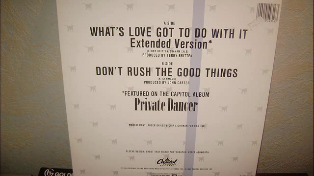 TINA  TURNER    -    WHAT ' S  LOVE GOT TO DO WITH IT  