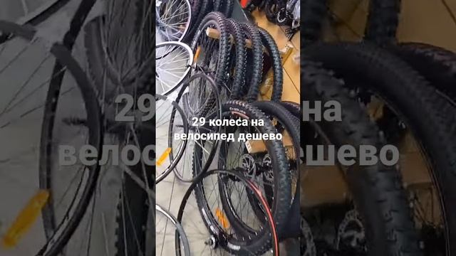 Колеса велосипедов 29 размера #дешево #bike #rims #колеса #wheels #велосипед #вело #велик #колеса смотреть онлайн