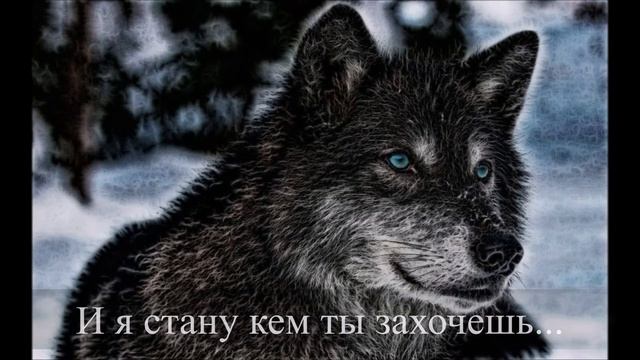 Буктрейлер | В шкуре волка | Анна Рид смотреть онлайн