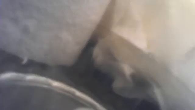 6-Видео C веб-камеры от  3 октября 2015 г., 10:15 (UTC)