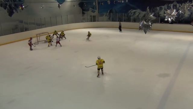 Лигры-Кострома 6-4 смотреть онлайн