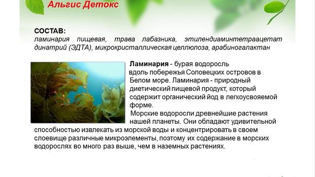 Тяжелые металлы и радионуклиды в нашем организме