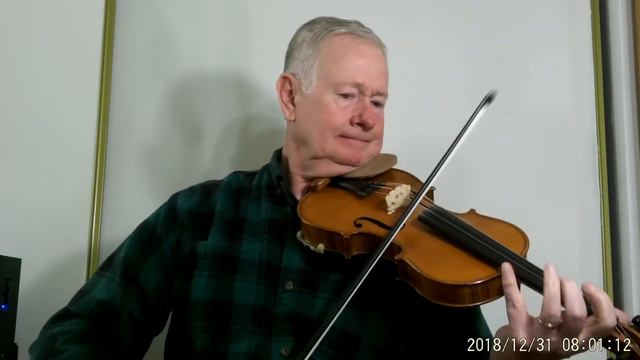 Gliga Maestro Violin Kansas City Kitty Ireal Pro Jazz Back Up