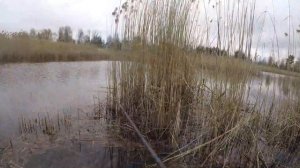 Стынет КРОВЬ от ПОКЛЕВОК, Ловля леща, Лещ весной, Рыбалка на леща 2021, Лещ