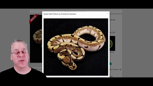 The 'Phantom' Ball Python! смотреть онлайн