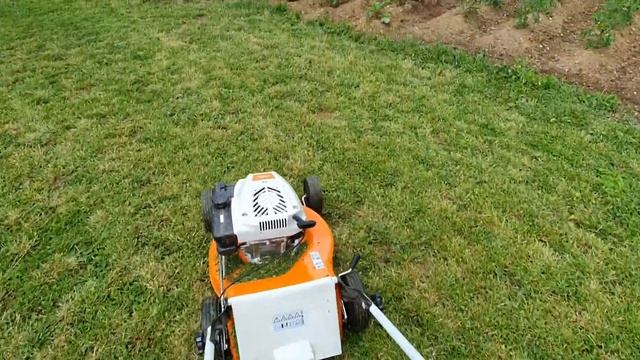 Stihl RM 248