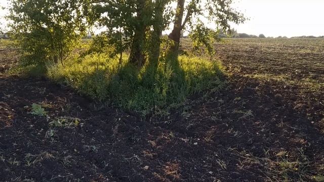 ПОЕХАЛ ЗА МЕТАЛЛОМ, А НАШЕЛ КУЧУ МОНЕТ! КОП МЕТАЛЛОЛОМА и монет. Коп 2020. смотреть онлайн