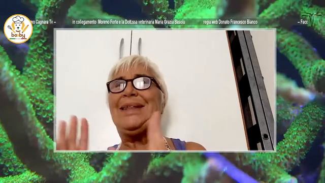 I Molossoidi смотреть онлайн