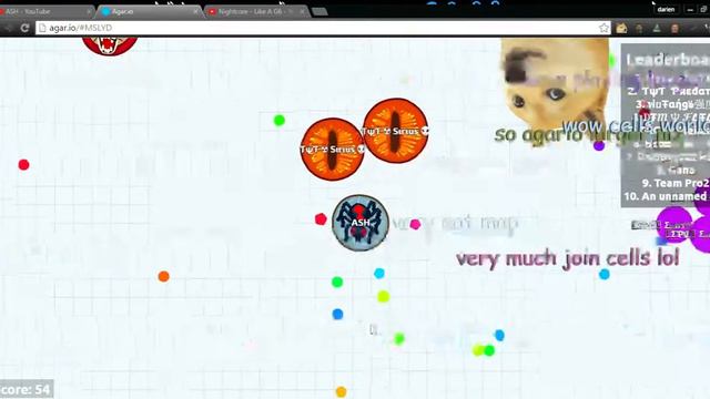 doge shut up! BRUH смотреть онлайн