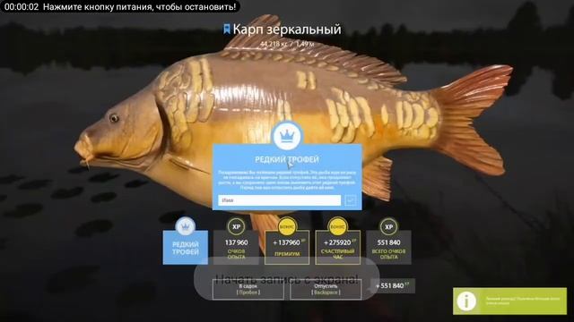 русская рыбалка 4 редкий трофей карп зеркальный смотреть онлайн