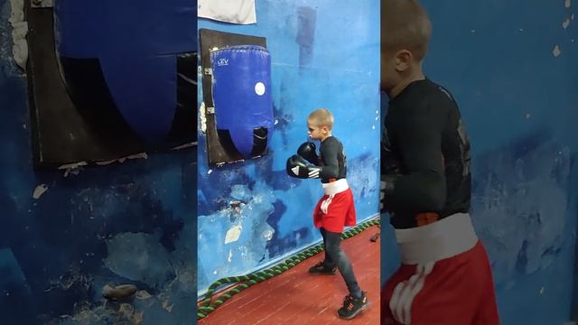 Наработка удара передней рукой :) ?#удар #бокс #боксер #сила смотреть онлайн