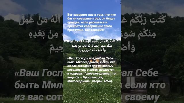 О милосердии в исламе #вера#коран #ислам смотреть онлайн