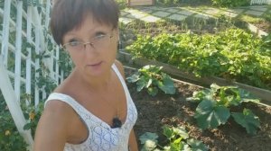 Видео привет с 6 соток 26 июня 2023 года