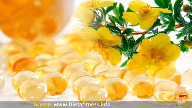 O Óleo de Prímula Emagrece ou Engorda Resultados CHOCANTES com o seu USO! | Dieta Fitness