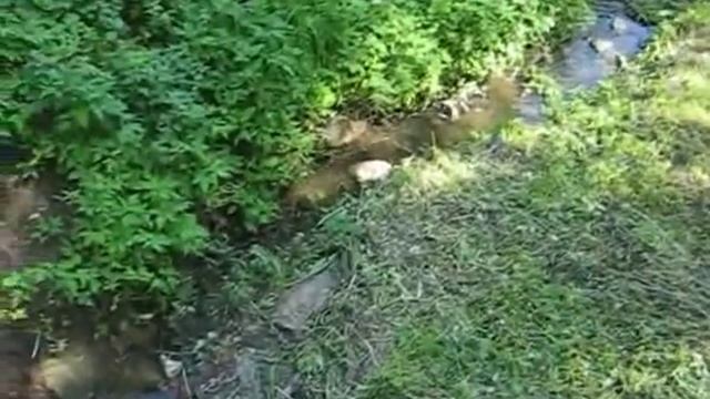 Мышкин. Часть пятая. 