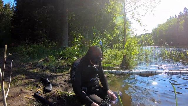 Время промочить жабры! Выбрались на подводную охоту. Нереальная красота под водой. Щука и линь. смотреть онлайн