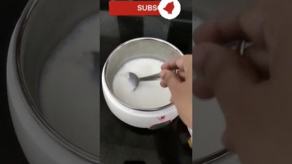 Automatic Yogurt Maker || Honest REVIEW || Electric Curd Maker Machine