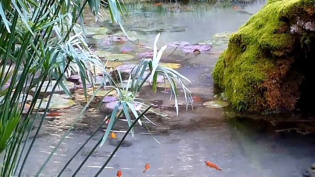 Test video Panasonic DMC-TZ18 смотреть онлайн