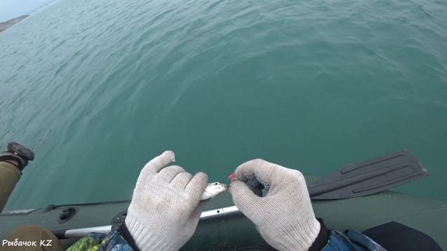 КАПЧАГАЙ РЫБАЛКА С ЛОДКИ НА ВОБЛУ ХОРОШИЙ КЛЁВ!!! смотреть онлайн