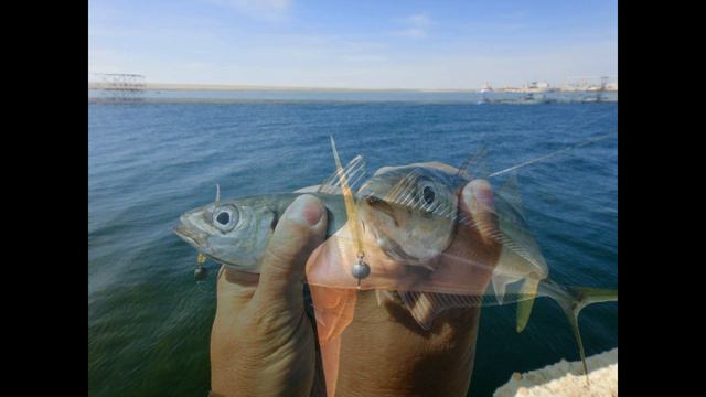 Панское озеро 16.07.2017 смотреть онлайн