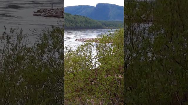 На корпоративной даче в Бодайбо смотреть онлайн