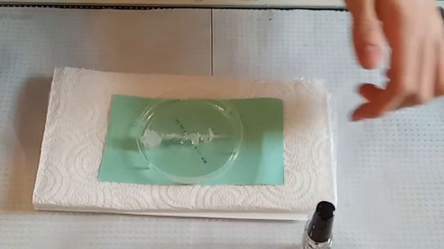 КАК ВЫРАСТИТЬ КРИСТАЛЛ ИЗ СОЛИ ( 2 ЧАСТЬ )!!! смотреть онлайн