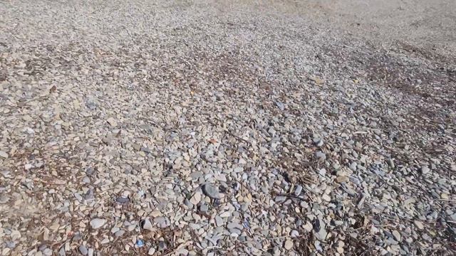 8 Марта. Поздравляю всех девушек смотреть онлайн