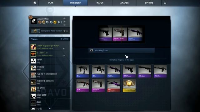 Ive got StatTrak Desert Eagle  Hypnotic FN in case :D