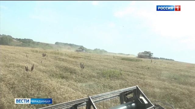 Народный контроль за сбором урожая зерна во Владимирской области смотреть онлайн