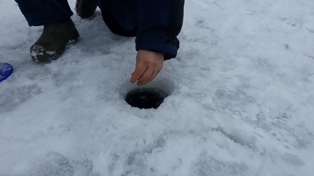 Утро в парус север начинается с активной ловли форели! смотреть онлайн