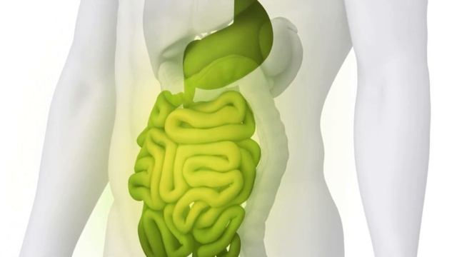 Каждый ДЕНЬ поднимайте НОГИ вверх! Всего 15 минут и ваш ОРГАНИЗМ скажет спасибо… смотреть онлайн