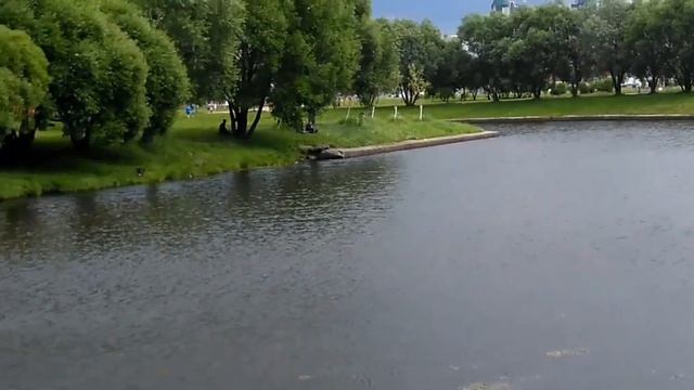 Парк Малиновка в Санкт-Петербурге смотреть онлайн