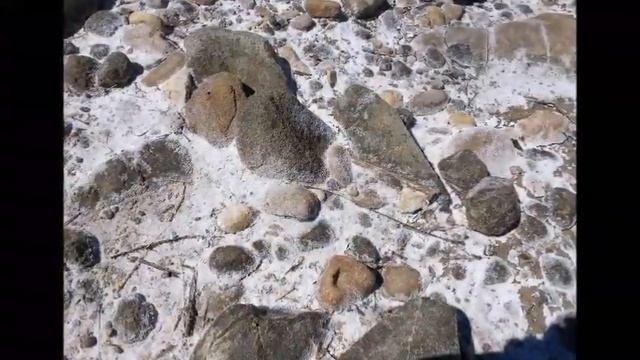 древности с горного озера, грибы и первый приз смотреть онлайн