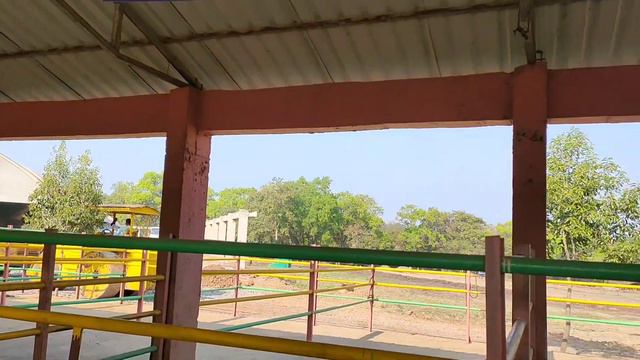 कणेरी मठ गो निकेतन Kaneri Math Kolhapur.......#kolhapur #youtube #youtuber #kanerimath #कोल्हापूर смотреть онлайн
