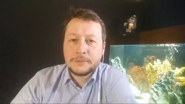 Стрим о Рено Дастер, газовом и др. В гостях у Почтальона смотреть онлайн