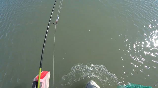 Ловля ЖЕРЕХА на спиннинг осенью. Жерех пошел. Бешеный клев смотреть онлайн