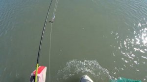 Ловля ЖЕРЕХА на спиннинг осенью. Жерех пошел. Бешеный клев