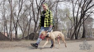 Спустить собак: очная ставка обидчика с мужем жертвы. На самом деле. Выпуск от 20.05.2020